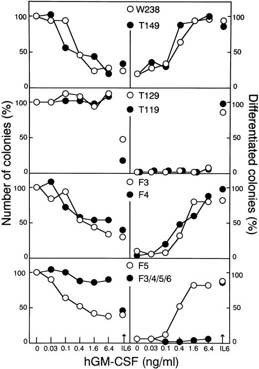 Fig. 4. Soft agar colony assaying of WEHI-3B D+cells expressing LIFR mutants. Cells expressing the various chimeric receptors (W238, T149, T129, T119, F3, F4, F5, or F3/4/5/6) were cultured in agar with increasing concentrations of hGM-CSF or IL-6 (100 ng/mL). The colony numbers (left panels) and the proportions of colonies containing differentiated cells (right panels) were determined after 7 days. The means of duplicate assays are shown.