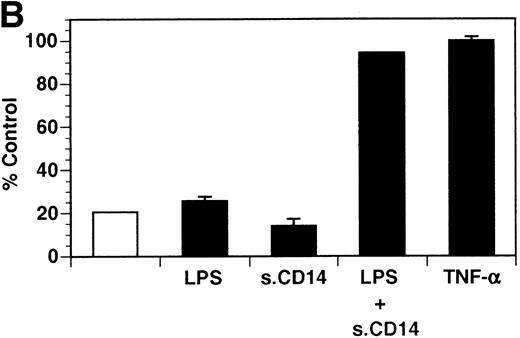Fig. 1. Soluble tie-1 is released from endothelial cells by inflammatory cytokines or VEGF. Cells were incubated with PMA or the indicated factors (all at 10 ng/mL except for VEGF at 100 ng/mL, LPS at 20 ng/mL, and soluble CD14 at 100 ng/mL) for 1 hour. After treatment, supernatants were collected and assayed for soluble tie-1 by sandwich ELISA as described in Materials and Methods. (A and B) HUVECs release soluble tie in response to PMA, TNF, IL-1β, VEGF, or the combination of LPS and soluble CD14. (C) Soluble tie release by HUVECs was compared with release by microvascular dermal endothelial cells (MDEC) and microvascular lung endothelial cells (MLEC). (□) The basal level of soluble tie release, cells incubated with media alone. Results are expressed as the percentage control (±SD), where 100% control represents soluble tie released by HUVECs in response to PMA (A and C) or TNF (B).