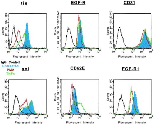 Fig. 4. Specificity of tie-1 release in endothelial cells. HUVECs were incubated in the absence (blue) or presence of 10 ng/mL TNF (green) or PMA (red) for 1 hour before harvesting. Aliquots of cells were stained for 45 minutes on ice with Abs specific for tie-1, EGF-R, CD31 (PECAM), axl, CD62E (E-selectin), or FGF-R1. Control samples were stained with isotype-matched Abs (black). FACS analysis was performed as described in Materials and Methods.