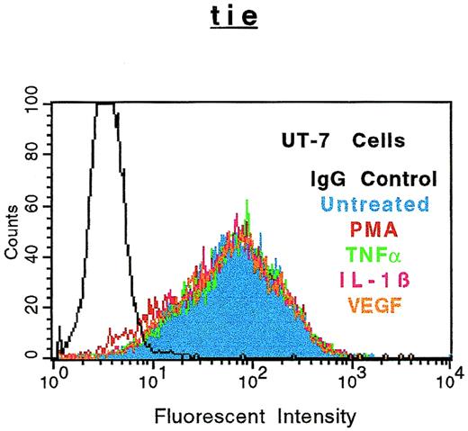 Fig. 5. Soluble tie receptor is not released from megakaryocytic UT-7 cells. UT-7 cells were incubated in the absence (blue) or presence of 10 ng/mL PMA (red), TNF (green), IL-1β (pink), or 100 ng/mL VEGF (orange) for 1 hour. After treatment, cells were stained for 45 minutes on ice with phycoerythrin-coupled anti–tie-1 MoAb 42G10. An isotype matched IgG (black) was used as the negative control. FACS analysis was performed as described in Materials and Methods.