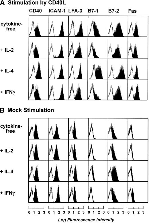 Fig. 2. Phenotypic characterization of B-CLL cells after 3 days of stimulation by CD40L or mock-transfected NIH3T3 fibroblasts in the presence of IL-2 (20 IU/mL), IL-4 (1 IU/mL), and IFNγ (20 IU/mL). Blank areas represent the isotype-matched control antibodies and the solid areas represent the fluorescence distribution of the MoAbs tested as assessed by flow cytometric analysis. The results shown are from one experiment and are representative of three independent experiments.