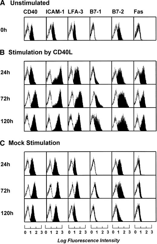 Fig. 3. Phenotypic characterization of unstimulated B-CLL cells and B-CLL cells stimulated in the presence of IL-4 (1 ng/mL) for 24, 72, and 120 hours by either CD40L-transfected or mock-transfected NIH3T3 fibroblasts. The results shown are from one experiment and are representative of three independent experiments.