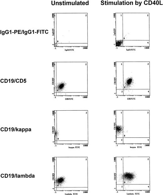 Fig. 4. Representative immunophenotypic characterization of B-CLL cells before and after 3 days of CD40-stimulation in the presence of IL-4 (1 IU/mL) as determined by CD5/CD19 positivity and light chain restriction (patient no. 3). The results shown are from one experiment and are representative of three independent experiments.
