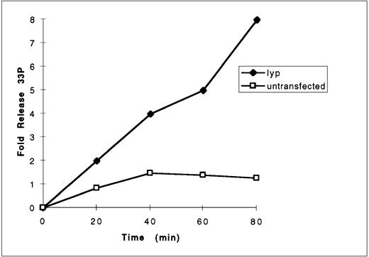 Fig. 10. Measurement of lyp1 phosphatase activity. Anti-lyp immunoprecipitates from untransfected and pcDNA3-lyp1–transfected cells were prepared in pervanadate-free lysis buffer and incubated with33P-labeled substrate Raytide. At the indicated time points, reactions were stopped by the addition of charcoal and the free33P released from the peptide and now present in the supernatant was measured by liquid scintillation counting.