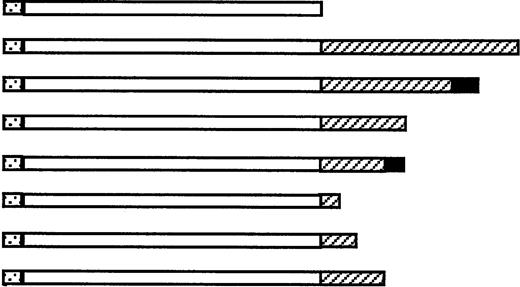 Schematic Representation and Molecular Properties of Chimeric trans-Sialidases