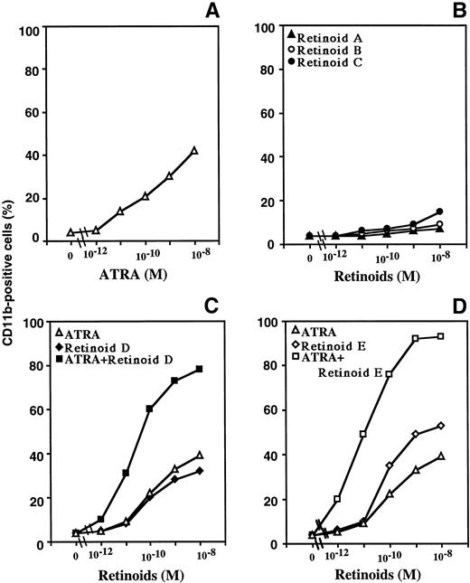Fig. 5. Effects of retinoids on CD11b expression on HL-60 (A, B, C, and D) and NB4 cells (E and F). Cells were cultured for 48 hours with 10-12 to 10-8 mol/L ATRA (A, C, and D in HL-60, E and F in NB4 cells), Retinoid A (B), Retinoid B (B), Retinoid C (B), Retinoid D (C and E), or Retinoid E (D and F), or a combination of equal molar concentrations of Retinoids D or E with ATRA (C, E and D, F, respectively) and cells then were analyzed by FACScan for expression of CD11b. This figure shows representative findings of three independent experiments, each of which had similar results.