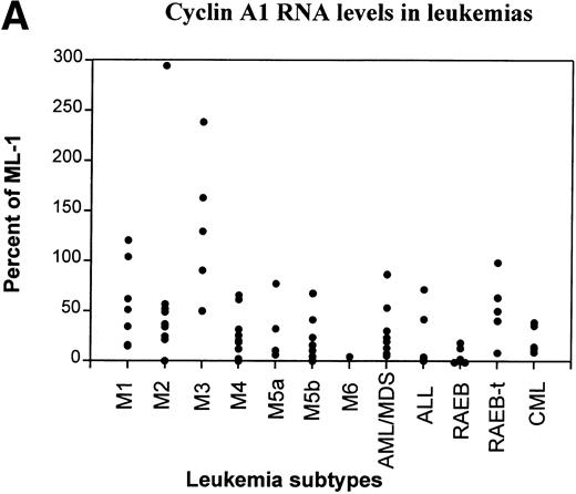 Fig. 3. RT-PCR study of the expression of cyclin A1 in leukemia and preleukemia samples. (A) Dot plot show the level of expression of cyclin A1 in leukemia samples as a percentage of the level detected in the ML-1 myeloblast cell line. (B) Cyclin A1 mean levels of each group are shown. The statistical analysis of differences among the groups is discussed in the Results. (C) Ratio of cyclin A1/cyclin A is shown on a dot plot. Each dot represents one sample.