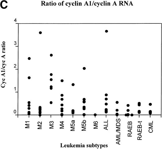 Fig. 3. RT-PCR study of the expression of cyclin A1 in leukemia and preleukemia samples. (A) Dot plot show the level of expression of cyclin A1 in leukemia samples as a percentage of the level detected in the ML-1 myeloblast cell line. (B) Cyclin A1 mean levels of each group are shown. The statistical analysis of differences among the groups is discussed in the Results. (C) Ratio of cyclin A1/cyclin A is shown on a dot plot. Each dot represents one sample.