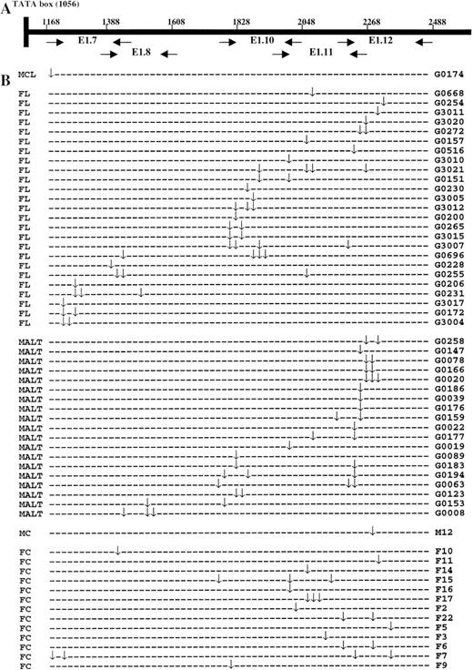 Fig. 2. The schematic illustration of the positions of the PCR primers (A) and the distribution of the somatic mutation in the 5′ noncoding region of the Bcl6 gene (B). MCL, mantle cell lymphoma; FL, follicular lymphoma; MALT, MALT lymphoma; MC, mantle cell; FC, follicle centre cell. (↓) Mutation.