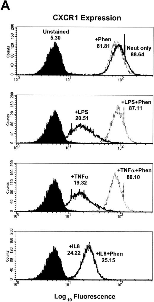 Fig. 2. Effect of the metalloproteinase inhibitors 1,10-phenanthroline and EDTA on LPS-, TNF-–, and IL-8–induced downmodulation of CXCR1 and CXCR2. Purified peripheral blood PMNs were preincubated with (A,B) 1,10-phenanthroline (Phen, 0.5 mmol/L) or (C,D) EDTA (5 mmol/L) for 30 minutes in media (RPMI/10% fetal calf serum) followed by the addition of LPS (100 ng/mL), TNF- (50 ng/mL), or IL-8 (500 ng/mL) for 1 hour at 37°C. CXCR1 and CXCR2 expression was measured cytofluorometrically. The x-axis indicates fluorescence intensity measured on log10 scale, and the y-axis indicates event counts per channel on a linear scale. MFI values for individual histograms are indicated above each histogram.