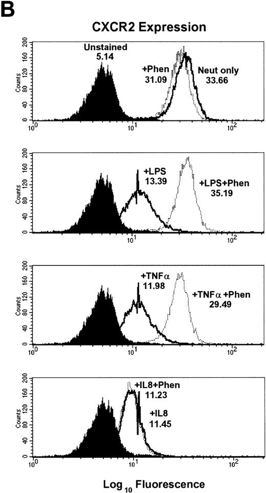 Fig. 2. Effect of the metalloproteinase inhibitors 1,10-phenanthroline and EDTA on LPS-, TNF-–, and IL-8–induced downmodulation of CXCR1 and CXCR2. Purified peripheral blood PMNs were preincubated with (A,B) 1,10-phenanthroline (Phen, 0.5 mmol/L) or (C,D) EDTA (5 mmol/L) for 30 minutes in media (RPMI/10% fetal calf serum) followed by the addition of LPS (100 ng/mL), TNF- (50 ng/mL), or IL-8 (500 ng/mL) for 1 hour at 37°C. CXCR1 and CXCR2 expression was measured cytofluorometrically. The x-axis indicates fluorescence intensity measured on log10 scale, and the y-axis indicates event counts per channel on a linear scale. MFI values for individual histograms are indicated above each histogram.