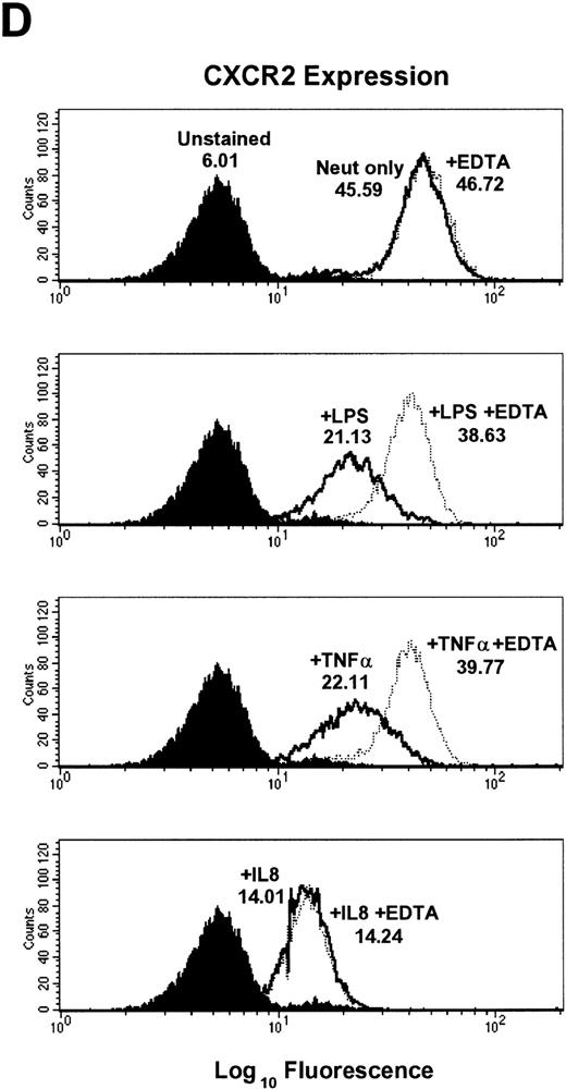 Fig. 2. Effect of the metalloproteinase inhibitors 1,10-phenanthroline and EDTA on LPS-, TNF-–, and IL-8–induced downmodulation of CXCR1 and CXCR2. Purified peripheral blood PMNs were preincubated with (A,B) 1,10-phenanthroline (Phen, 0.5 mmol/L) or (C,D) EDTA (5 mmol/L) for 30 minutes in media (RPMI/10% fetal calf serum) followed by the addition of LPS (100 ng/mL), TNF- (50 ng/mL), or IL-8 (500 ng/mL) for 1 hour at 37°C. CXCR1 and CXCR2 expression was measured cytofluorometrically. The x-axis indicates fluorescence intensity measured on log10 scale, and the y-axis indicates event counts per channel on a linear scale. MFI values for individual histograms are indicated above each histogram.