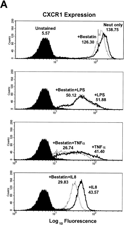 Fig. 3. Effect of the aminopeptidase inhibitor bestatin on LPS-, TNF-–, and IL-8–induced downmodulation of CXCR1 and CXCR2. Purified peripheral blood PMNs were preincubated with bestatin (100 μmol/L) for 30 minutes in media (RPMI/10% fetal calf serum) followed by the addition of LPS (100 ng/mL), TNF- (50 ng/mL), or IL-8 (500 ng/mL) for 1 hour at 37°C. (A) CXCR1 and (B) CXCR2 expression was measured cytofluorometrically.