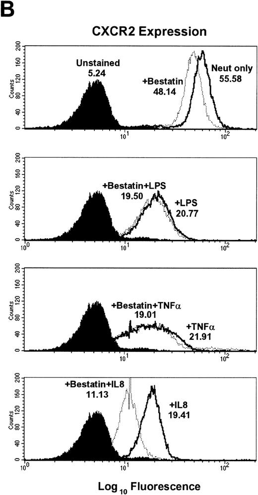 Fig. 3. Effect of the aminopeptidase inhibitor bestatin on LPS-, TNF-–, and IL-8–induced downmodulation of CXCR1 and CXCR2. Purified peripheral blood PMNs were preincubated with bestatin (100 μmol/L) for 30 minutes in media (RPMI/10% fetal calf serum) followed by the addition of LPS (100 ng/mL), TNF- (50 ng/mL), or IL-8 (500 ng/mL) for 1 hour at 37°C. (A) CXCR1 and (B) CXCR2 expression was measured cytofluorometrically.
