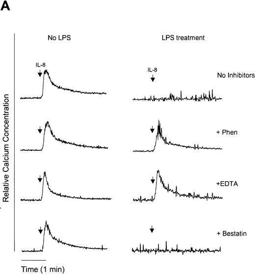 Fig. 6. Measurement of functional IL-8 receptors by Ca2+ mobilization. Purified peripheral blood PMNs suspended in Indo-1AM medium were preincubated with 1,10-phenanthroline (Phen, 0.5 mmol/L), EDTA (5 mmol/L), or bestatin (100 μmol/L) for 30 minutes at 37°C followed by the addition of LPS (100 ng/mL), TNF- (50 ng/mL), or IL-8 (500 ng/mL) for a further 1 hour at 37°C. (A-C) IL-8 (50 ng/mL) or (D) fMLP (5 × 10−7 mol/L) was added to cells and Ca2+ flux was measured.