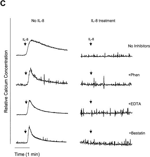 Fig. 6. Measurement of functional IL-8 receptors by Ca2+ mobilization. Purified peripheral blood PMNs suspended in Indo-1AM medium were preincubated with 1,10-phenanthroline (Phen, 0.5 mmol/L), EDTA (5 mmol/L), or bestatin (100 μmol/L) for 30 minutes at 37°C followed by the addition of LPS (100 ng/mL), TNF- (50 ng/mL), or IL-8 (500 ng/mL) for a further 1 hour at 37°C. (A-C) IL-8 (50 ng/mL) or (D) fMLP (5 × 10−7 mol/L) was added to cells and Ca2+ flux was measured.