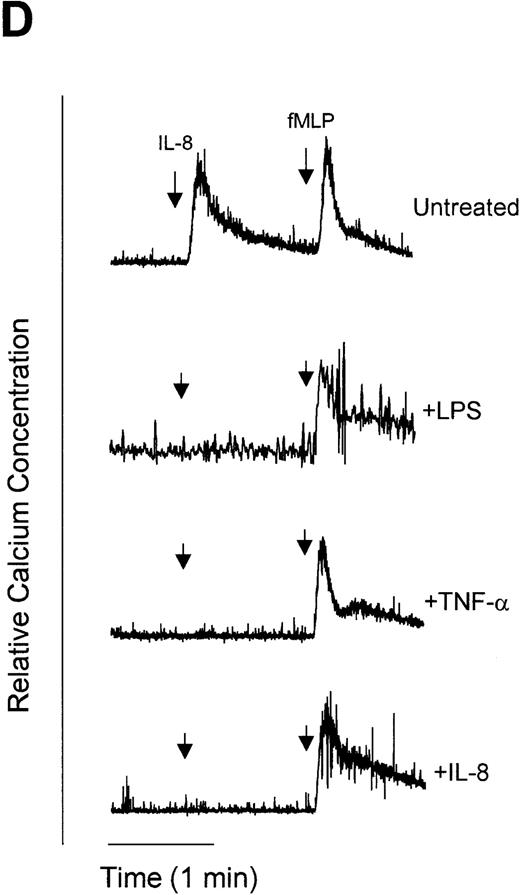 Fig. 6. Measurement of functional IL-8 receptors by Ca2+ mobilization. Purified peripheral blood PMNs suspended in Indo-1AM medium were preincubated with 1,10-phenanthroline (Phen, 0.5 mmol/L), EDTA (5 mmol/L), or bestatin (100 μmol/L) for 30 minutes at 37°C followed by the addition of LPS (100 ng/mL), TNF- (50 ng/mL), or IL-8 (500 ng/mL) for a further 1 hour at 37°C. (A-C) IL-8 (50 ng/mL) or (D) fMLP (5 × 10−7 mol/L) was added to cells and Ca2+ flux was measured.