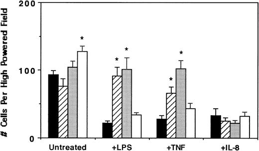 Fig. 7. Effect of proteinase inhibitors on IL-8–directed neutrophil chemotaxis. Purified peripheral blood PMNs were untreated (▪) or preincubated with 1,10-phenanthroline (0.5 mmol/L, ▨), EDTA (5 mmol/L, ░), or bestatin (100 μmol/L, □) for 30 minutes at 37°C followed by the addition of LPS (100 ng/mL), TNF- (50 ng/mL), or IL-8 (500 ng/mL) for 1 hour at 37°C. The migration assay was then performed. The data represent a single experiment from 4 performed. Results are the mean ± SEM migrated cells counted from three high-powered fields (400×) obtained in three replicates. *Statistical significance (P < .05) using one-way ANOVA for control untreated v treated groups.