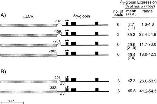Fig. 1. Diagrams and expression of constructs containing the μLCR and Aγ-globin gene with promoter truncations. (A) Is for constructs containing the normal Aγ-globin promoter sequence, while (B) is for constructs containing the indicated G → A point mutation at position −117 of theAγ-globin promoter associated with hereditary persistence of fetal hemoglobin. In the diagrams to the left, the μLCR is indicated by the thick hatched bar, while the Ag-globin gene is indicated by the thin filled bar. Exons are indicated by the filled boxes, the site of transcription initiation (cap site) by the arrow, while the positions of the individual promoter truncations are relative to the cap site. To the right of each panel is shown the number of transfected MEL585 pools included in the analysis, along with the mean, standard deviation (for data sets containing more than three pools), and range of expression for each construct. Expression was determined by quantitative RNase protection and is expressed as a percentage of the level of endogenous murine -globin mRNA on a per copy basis.