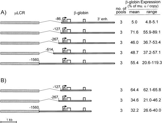 Fig. 2. Diagrams and expression of constructs containing the μLCR and β-globin gene with promoter truncations. (A) Is for constructs containing the β-globin gene extended to include the 3′ enhancer sequence, while (B) is for constructs containing the β-globin gene without the 3′ enhancer. In the diagrams to the left, the μLCR is indicated by the thick hatched bar, while the β-globin gene is indicated by the thin open bar. Exons are indicated by the open boxes, the site of transcription initiation (cap site) by the arrow, and the positions of the individual promoter truncations are relative to the cap site. To the right of each panel is indicated the number of transfected MEL585 pools included in the analysis along with the mean and range of expression for each construct.
