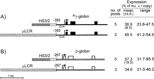 Fig. 3. Diagrams and expression of constructs designed to compare enhancing activity of the μLCR and HS3/HS2. (A) Is for constructs containing the Ag-globin gene (thin filled bars) with the −382 promoter and G → A transition at position −117, while (B) is for constructs containing the β-globin gene with the −267 promoter and no 3′ enhancer (thin open bars). Exons are indicated by the boxes, and the sites of transcription initiation (cap sites) are shown by the arrows. The μLCR is indicated by the thick hatched bar, while the HS3/HS2 enhancer core fragments are indicated by heavy and light stippling, respectively. To the right of each panel, the number of transfected MEL585 pools included in the analysis is shown along with the mean, standard deviation, and range of expression for each construct as described in the legend to Fig 1.