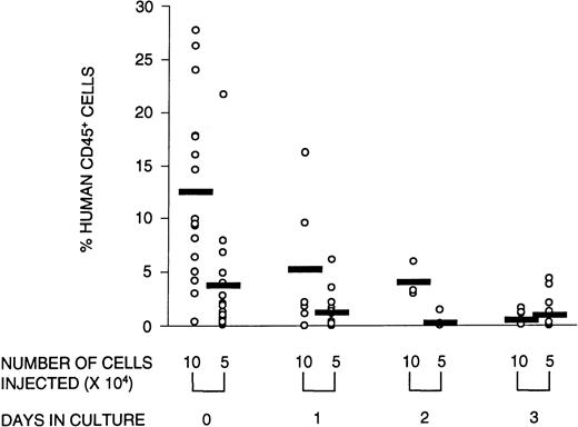 Fig. 3. Reconstituting ability of the graft decreases with time in culture. The percentage of human CD45+ cells in the BM of reconstituted recipients transplanted with 105 or 5 × 104 human CB cells that were either not cultured or cultured for 1, 2, or 3 days is illustrated. Open circles represent individual mice; the horizontal bar is the average value of the group. Data from three experiments were combined.