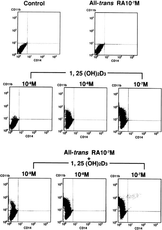 Fig. 3. Expression of CD11b and CD14 antigens by FACS analysis. UF-1 cells were treated with either 10−7 mol/L all-trans RA, various concentrations (10−9 to 10−7 mol/L) of 1,25(OH)2D3, or combinations of both for 4 days. Cells were incubated for 30 minutes with human AB serum to block Fc receptors and then stained with direct immunofluorescence using FITC-conjugated mouse anti–human CD14 and PE-conjugated mouse anti–human CD11b antibodies. Control studies were performed with nonbinding control mouse IgG1 and IgG2a isotype antibodies.