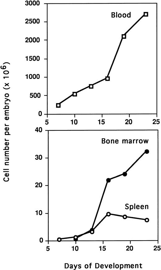 Fig. 3. Quantification of BM, spleen, and blood cells during embryogenesis. Single cell suspensions were obtained from embryonic BM and spleen by pipetting and counted in a window reading size range from 4 to 11 μm on a Coulter counter ZM equipped with a channelizer 256. Data correspond to the mean of four embryos. BM cell numbers were given per pair of tibia and femurs.