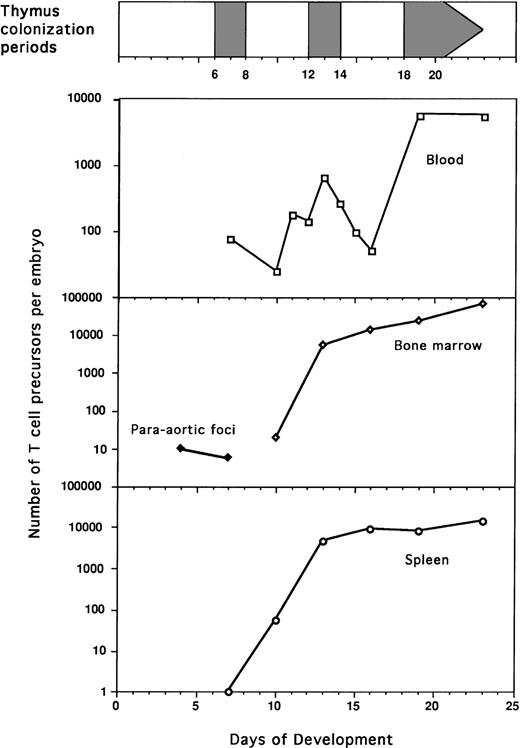 Fig. 4. Quantification of T-cell progenitors in the blood, paraaortic foci, bone marow, and spleen during embryogenesis. Frequencies of T-cell progenitors were evaluated by quantification of ov thymocyte chimerism and limiting dilution experiments (Fig 1 and Table 1). Total numbers of T-cell progenitors were then calculated using the number of cells determined in each organ (Fig 3 and Table2).