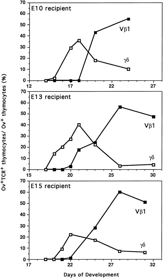 Fig. 6. Comparative differentiation kinetics of the second wave of thymocyte progenitors (E13) after intravenous injection in recipients during active (E13) or negative (E10 and E15) thymus colonization periods. Proportion of thymocytes expressing γδTCR or β(Vβ1)TCR among donor ov+ thymocytes was determined by immunofluorescence flow cytometry. Each point corresponds to the mean value for three to five animals in two independent experiments. The differentiation of second wave T-cell progenitors was analyzed by adoptive transfer of E13 H.B19ov+ BM into E10, E13, and E15 H.B19ov-embryos (injections of 10 × 106cells).