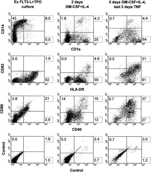 Fig. 2. Surface phenotype before and after the induction into DCs. Cells were grown for 3 weeks in FLT3-L plus TPO, frozen, and thawed after 3 months of cryopreservation. Cells were then cultured back in the initial conditions for 10 days (left column). Cells were induced with GM-CSF plus IL-4 for 2 days (middle column) or with GM-CSF and IL-4 for 2 days, followed by 3 more days with the latter cytokines plus TNF (right column). One representative experiment is shown out of four.
