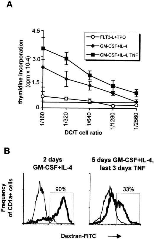 Fig. 4. In vitro function of DCs. (A) 5 × 104 naive T cells were incubated with graded amounts of irradiated cells obtained after 4 weeks of culture with FLT3-L plus TPO (○). Naive T cells were also incubated with cells that were additionally cultured with GM-CSF plus IL-4 for 5 days (⧫) or with GM-CSF plus IL-4 for 2 days followed by 3 days with the latter cytokines plus TNF (▪). Measurements were done in triplicates, and the last significant value over background (horizontal line) was determined as the 3H-TdR incorporation of T cells measured in absence of DCs plus 3 SD. Mean ± SD of one representative experiment out of five are shown. (B) Internalization of FITC-dextran by CD1a+ cells. Cells from a 4-week FLT3-L plus TPO culture were incubated for 2 days in GM-CSF plus IL-4 (left histogram) or for 5 days with the same cytokines, with adjunction of TNF for the last 3 days (right histogram). Cells were then incubated with FITC-dextran for 1 hour at 4°C (thin lines) or 37°C (bold lines) before labeling with PE-conjugated anti-CD1a antibody. This result is from one experiment representative of four. Experiments performed with sorted cells obtained as in Fig 6 gave similar results, that is, incubation in TNF always decreased dextran internalization irrespective of the origin of the CD1a+ cells.