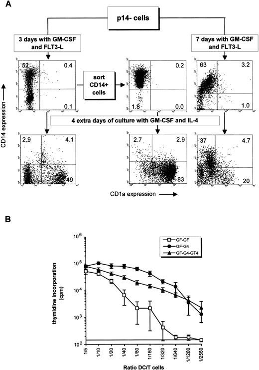 Fig. 6. Indirect induction of DCs from p14− cells via a CD14+ intermediate precursor. (A) p14− cells sorted from a 28-day primary culture with FLT3-L plus TPO and SCF were incubated with GM-CSF plus FLT3-L for 3 and 7 days. CD14+ cells generated from the 3-day culture in GM-CSF plus FLT3-L were sorted out and all cell suspensions were additionally cultured for 4 days in GM-CSF plus IL-4 (bottom histograms). (B) Alloreactivity of some of the cellular fractions depicted in (A). GF-GF: p14− cells incubated for 7 days in GM-CSF plus FLT3-L, corresponding to the upper right histogram in (A); GF-G4: p14− fraction incubated 3 days in GM-CSF and FLT3-L, then 4 days with GM-CSF and IL-4, corresponding to the lower left histogram in (A); GF-G4-GT4: p14− fraction incubated 3 days in GM-CSF plus FLT3-L, 4 days with GM-CSF and IL-4, and 4 more days with these cytokines plus TNF. Counts per minute are displayed in a log scale to facilitate end point reading of low values. The last significant value over background is determined as in Fig 4A. Mean ± SD of quadruplicates are shown.