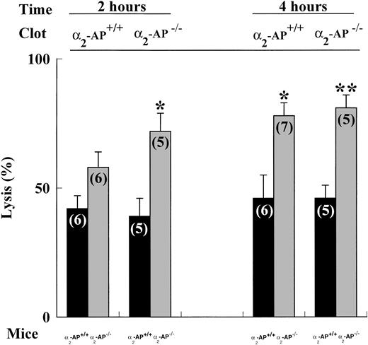 Fig. 3. Spontaneous lysis of 125I-fibrin–labeled clots prepared from 2-AP+/+ or 2-AP−/− plasma and injected into 2-AP+/+ or 2-AP−/− mice. The data are mean ± SEM of the number of experiments indicated between parentheses. *P< .05 and **, P < .01 versus 2-AP+/+ mice.