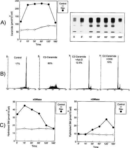 Fig. 2. (A) Kinetics of ceramide generation induced by Dex treatment. Thymocytes were treated with Dex (10−7 mol/L) for different times. Lipids were then extracted, subjected to DAG kinase assay, and separated by TLC. Radioactive spots were visualized by autoradiography, scraped from the plate, and counted by scintillation counting. On the left, the quantitative results for ceramide-1-phosphate levels, expressed as picomoles/106cells are reported (mean values of three different experiments in duplicate; standard deviations, less than 10% of the mean values, are omitted for clarity). On the right side, a representative autoradiography of a ceramide chromatogram is shown. (B) C2-ceramide–induced apoptosis. Thymocytes were incubated for 18 hours with 10 μmol/L C2-ceramide in the presence or absence of actinomycin-D (Act-D; 2.5 μg/mL) and cycloheximide (CHX; 50 μg/mL) and analyzed for apoptosis. Percentage numbers of hypodiploid nuclei are reported for each condition. Data shown are representative of one out of two experiments. (C) Dex-induced SMase activation. Acidic (on the left) and neutral (on the right) SMase activity induced by Dex treatment at the indicated times. Hydrolyzed SM was quantitated and expressed as picomoles/106 cells. The mean values from two determinations are reported. Standard deviation values were lower than 3% of mean values. The results are representative of one out of three separate experiments.