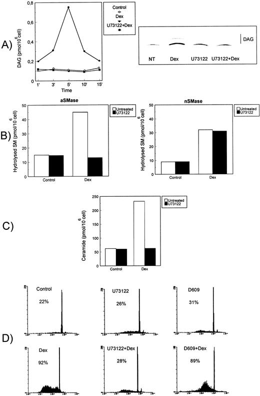 Fig. 4. PI-PLC activity involvement in Dex-induced thymocyte apoptosis. Effect of U73122 on (A) Dex-induced PI-PLC activity, (B) aSMase (left) and nSMase (right), (C) ceramide generation, and (D) apoptosis. Thymocytes were treated with Dex (10−7 mol/L) for the indicated times in the presence or absence of U73122 (2.5 μmol/L) or D609 (50 μg/mL). (A) Dex-induced PI-PLC activity. Cell extracts were reacted with radiolabeled PI vesicles, and then DAG released was separated by TLC, visualized by autoradiography, scraped from the plate, and counted by scintillation counting. PI-PLC activity is expressed as picomoles DAG/106 cells (left side). Mean values of three different experiments in duplicate are reported. Standard deviations (SD), less than 3% of the mean values, are omitted for clarity. On the right side, a representative autoradiography of a DAG chromatogram is shown. (B) Acidic (on the left) and neutral (on the right) SMase activity induced after 15 or 120 minutes of Dex treatment, respectively. Hydrolyzed SM was quantitated and expressed as picomoles/106 cells. Mean values of three different experiments in duplicate are reported. SD, less than 5% of the mean values, are omitted for clarity. (C) Ceramide levels in thymocytes treated for 15 minutes with Dex (10−7 mol/L) in the presence or absence of U73122. The quantitative results for ceramide-1-phosphate levels, expressed as picomoles/106cells, are reported (mean values from three experiments in duplicate; SD values, less than 10% of mean values, are omitted for clarity). (D) Effect of U73122 and D609 on Dex-induced thymocyte apoptosis, as detected after an 18-hour culture. Percentage numbers of hypodiploid nuclei are reported for each condition. The results are representative of one out of three separate experiments.