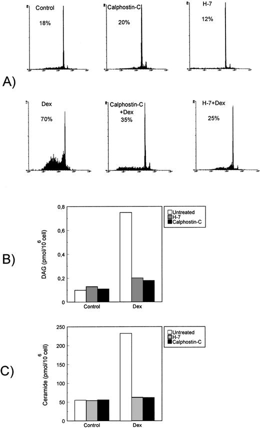 Fig. 5. Effect of PKC inhibitors on Dex-induced apoptosis and signaling pathway. Effect of H7 and calphostin-C on (A) Dex-induced apoptosis, (B) DAG, and (C) ceramide generation. Thymocytes were treated with Dex (10−7 mol/L) for the indicated times in the presence or absence of H7 (50 μmol/L) or calphostin-C (1 μmol/L).
