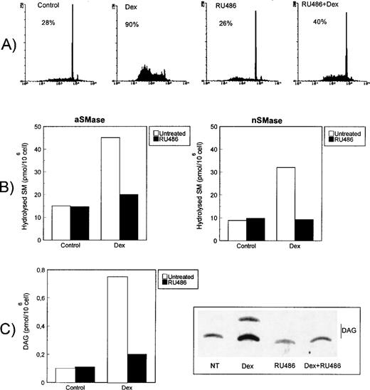 Fig. 7. RU486 inhibition of Dex-induced apoptosis and signaling pathways. (A) Effect of RU486 (10−6 mol/L) on Dex-induced apoptosis as detected after an 18-hour culture. Percentage numbers of hypodiploid nuclei are reported for each condition. The results are representative of one out of three separate experiments. (B) Effect of RU486 on Dex-induced acidic (left) and neutral (right) SMase activities after 15 or 120 minutes of Dex treatment, respectively. Hydrolyzed SM was quantitated and expressed as picomoles/106 cells. Mean values of three different experiments in duplicate are reported. SD, less than 10% of the mean values, are omitted for clarity. (C) Effect of RU486 on Dex-induced PI-PLC activity at 5 minutes. Cell extracts were reacted with radiolabeled PI vesicles, and then DAG released was separated by TLC, visualized by autoradiography, scraped from the plate, and counted by scintillation counting. PI-PLC activity is expressed as picomoles DAG/106 cells. Mean values of three different experiments in duplicate are reported. SD, less than 3% of the mean values, are omitted for clarity.