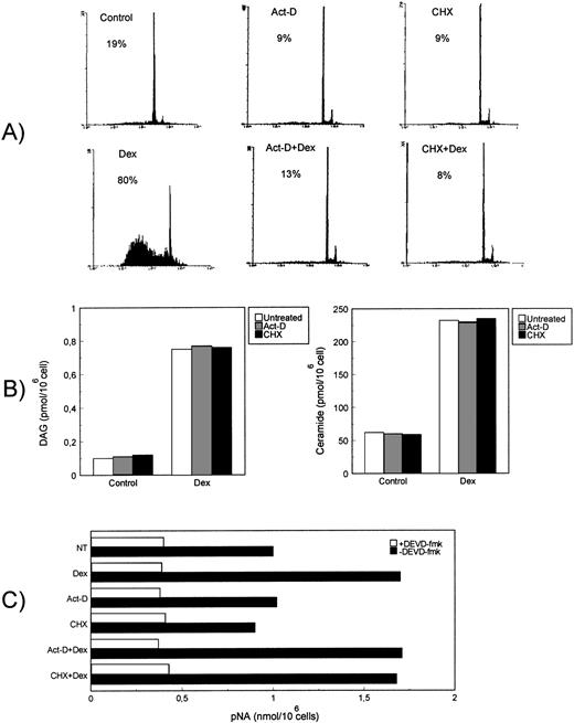 Fig. 8. Effect of mRNA and protein synthesis inhibitors on Dex-induced apoptosis and signaling pathway. Effect of actinomycin-D (Act-D; 2.5 μg/mL) and cycloheximide (CHX; 50 μg/mL) on (A) Dex-induced apoptosis, (B, left) DAG, (B, right) ceramide generation, and (C) CPP32 activity. Thymocytes were treated with Dex (10−7 mol/L) for the indicated times in the presence or absence of Act-D or CHX.