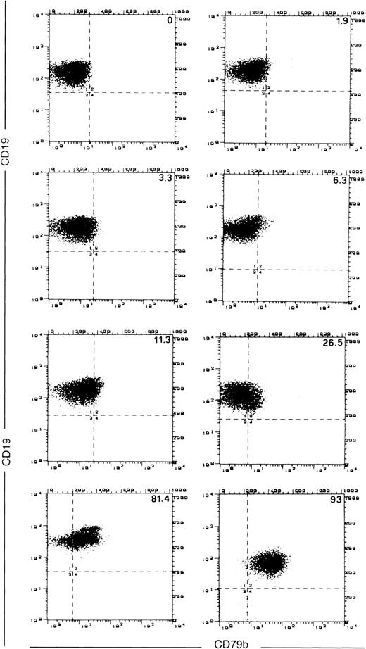 Fig. 2. Cytofluorimetric analysis of CD79b expression by SN8 MoAb in a number of different representative CLL cases. The numbers in the upper right corner of each panel are the percentage of CD19+, SN8+ cells.