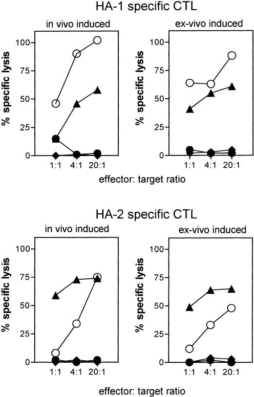 Fig. 3. Hematopoietic cell–restricted cytolysis mediated by ex vivo–induced HA-1– and HA-2–specific CTLs. Data are representative for all ex vivo–induced CTLs tested. The cytotoxic activities of in vivo–induced HA-1– and HA-2–specific CTLs against the same target cell panel are shown for comparison. All target cells used in these specificity experiments were derived from the same HLA-A*0201+, HA-1+, HA-2+healthy volunteer. Target cells: PHA-blasts (▧); fibroblasts (⧫); fibroblasts cultured with IFN-γ + TNF- (both 300 U/mL) (◍); fibroblasts cultured with IFN-γ + TNF- and pulsed with 10 μg/mL peptide (◍).