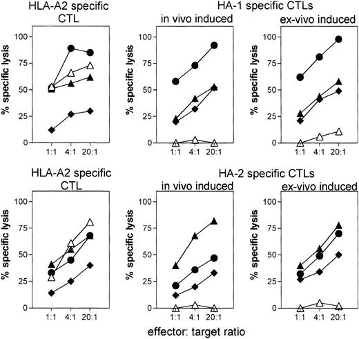 Fig. 4. Lysis of HA-1+ or HA-2+leukemic cells by ex vivo–induced HA-1– and HA-2–specific CTLs. Data are representative for all ex vivo–induced CTLs. The lysis of same target cells by in vivo–induced HA-1– and HA-2–specific CTLs, and by control HLA-A*0201–specific CTL clone are shown for comparison. Target cells: HA-1− or HA-2− EBV-LCL (△); HA-1+ or HA-2+ EBV-LCL (▧); leukemic cells positive for HA-1 (n = 4) or HA-2 (n = 3) (⧫); HA-1+ or HA-2+ leukemic cells cultured with IFN-γ + TNF- (◍).