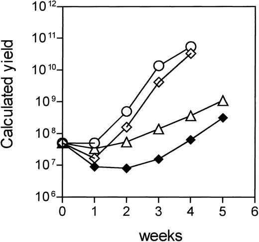 Fig. 5. Expansion of HA-1– and HA-2–specific CTLs. Data represent a theoretical calculation based on the actual expansion rates of the CTLs. The expansion rates of the CTLs were calculated as follows: expansion rate = Total number of the cells after restimulation/no. of restimulated cells. The initial number of responder cells was 5 × 107 and the total yield of CTLs before each restimulation was calculated by multiplying the expansion rate per week with the number of theoretically restimulated cells. (◍,◊) Two HA-2–specific CTLs induced by PBDC; (△) HA-1–specific CTL induced by PBDC; (⧫) HA-1–specific CTL induced by BMDC.