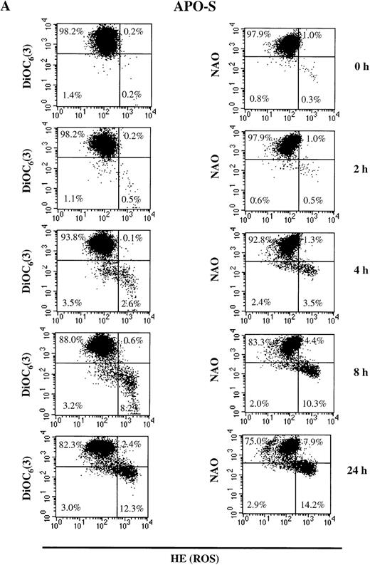 Fig. 3. NO-mediated changes in ▵ψm, ROS production, and cardiolipin content in APO-S (A) and APO-R (B) Jurkat cells. To measure ▵ψm and ROS production, cells were incubated with DiOC6(3) and HE, respectively, at 37°C for 30 minutes. The content of the main mitochondrial lipid, cardiolipin, was analyzed after incubation with NAO for 30 minutes at 37°C. Recordings were made only on PI negative (viable) cells at green fluorescence (FL1) for DiOC6(3) and NAO and at red fluorescence (FL2) for HE using FACScan and CELLQuest software. A representative experiment of four is shown.