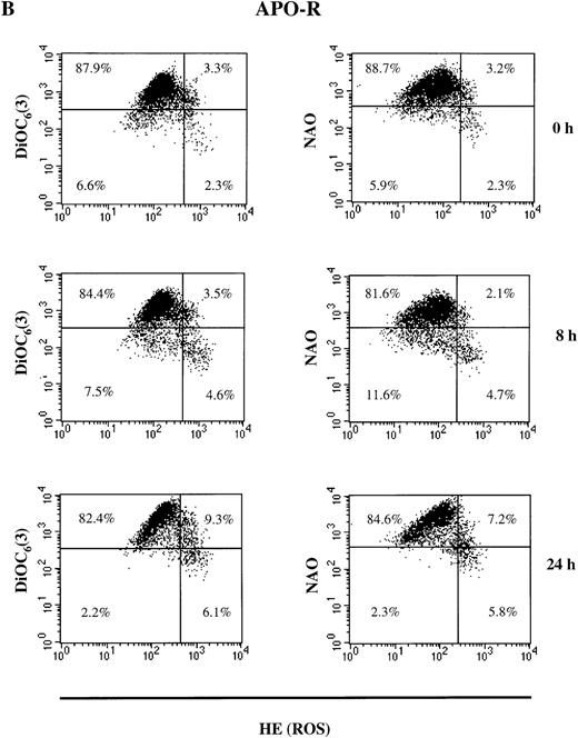 Fig. 3. NO-mediated changes in ▵ψm, ROS production, and cardiolipin content in APO-S (A) and APO-R (B) Jurkat cells. To measure ▵ψm and ROS production, cells were incubated with DiOC6(3) and HE, respectively, at 37°C for 30 minutes. The content of the main mitochondrial lipid, cardiolipin, was analyzed after incubation with NAO for 30 minutes at 37°C. Recordings were made only on PI negative (viable) cells at green fluorescence (FL1) for DiOC6(3) and NAO and at red fluorescence (FL2) for HE using FACScan and CELLQuest software. A representative experiment of four is shown.