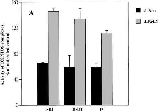 Fig. 5. Effect of NO on the activity of OXPHOS complexes (A and B) and cytochrome c release (C) in Jurkat cells transfected only with neomycin (J-Neo) and in Bcl-2 overexpessing Jurkat cells (J-Bcl-2). Evaluation of OXPHOS complex acitivity and cytochromec release was performed as described in the legend to Fig 1. (A) Decrease of OXPHOS complex activity under NO treatment. Data were expressed as a percentage to the untreated controls. (B) NO-mediated suppression of complex IV activity. Data were expressed in fmol of O2 per minute per cell. Each bar represents the mean ± SD of three independent experiments. (C) Release of cytochrome cinto the cytosole in Neo, but not in Bcl-2 overexpressing cells. A representative experiment of three is shown.