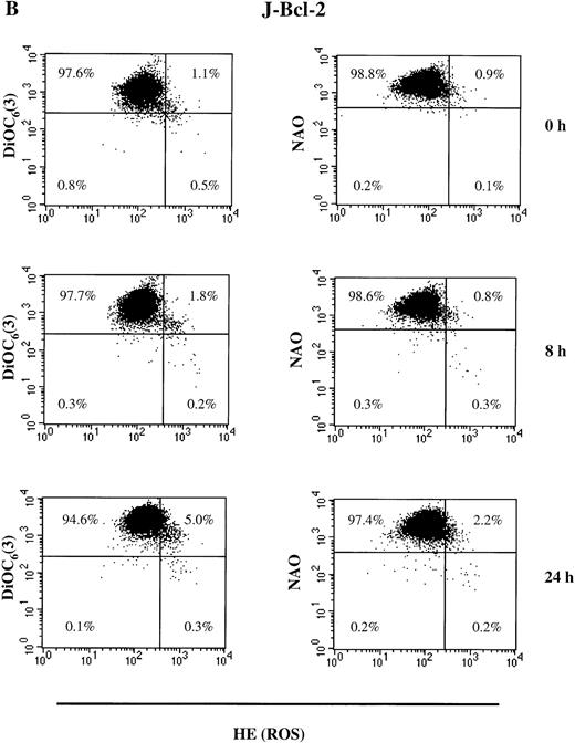 Fig. 6. NO-induced alterations in ▵ψm, ROS production, and cardiolipin content in Jurkat cells transfected only with neomycin (J-Neo) (A) and in Bcl-2 overexpessing Jurkat cells (J-Bcl-2) (B). To measure ▵ψm, ROS production, and cardiolipin content, cells were incubated with DiOC6(3), HE, and NAO, respectively at 37°C for 30 minutes. Recordings were made only on PI negative (viable) cells at green fluorescence (FL1) for DiOC6(3) and NAO and at red fluorescence (FL2) for HE. A representative experiment of four is shown.