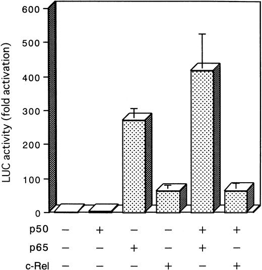 Fig. 8. Effect of NF-κB subunit on NF-κB transcriptional activity. Jurkat cells were transfected by electroporation with a reporter plasmid (5 μg) containing the luciferase gene fused to five repeats of the κB motif of the IL-2R gene and enhancerless promoter of HTLV-I (κB-LUC) along with combinations of the cDNA expression plasmids encoding p50 (5 μg), p65 (5 μg), and c-Rel (5 μg) indicated at the bottom of the panel. After 24 hours of growth, cells were harvested and assayed for luciferase activity. Increase of the luciferase activity in cell extracts is shown relative to that after parental plasmid transfection. The mean ± standard error of mean (SEM) for three independent assays is presented.