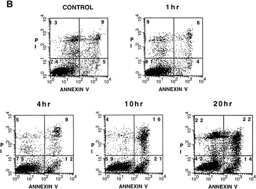 Fig. 1. Na-Sal induces apoptosis of acute myeloid leukemia cell lines. TF-1, U937, CMK-1, and K562 cells were either left untreated (□) or were treated with 0.5 (◊), 1 (○), 5 (▵), or 20 (⊞) mmol/L Na-Sal for the time indicated. Viability was determined by the trypan blue exclusion test. (B) Increased annexin V binding to TF-1 cells cultured in the absence (control) or in the presence of 4 mmol/L Na-Sal for 1 hour, 4 hours, 10 hours, or 20 hours. Annexin V binding and PI staining were analyzed by flow cytometry, as described in Materials and Methods. The percentage of cells positive for annexin V and/or PI is depicted in each quadrant.