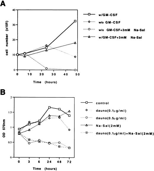 Fig. 5. Na-Sal enhances growth factor withdrawal-induced and daunorubicin-induced apoptosis of TF-1 cells. (A) TF-1 cells were grown in the presence or absence of GM-CSF and treated with 3 mmol/L Na-Sal. Viability was determined by trypan blue dye exclusion at the times indicated. (B) TF-1 cells were treated with daunorubicin (Dauno) alone (0.1 μg/mL or 0.5 μg/mL), Na-Sal alone (2 mmol/L) or the combination of daunorubicin (0.1 μg/mL) and 2 mmol/L Na-Sal for the times indicated. Viability was determined using the MTT assay. These experiments were repeated three times with similar results. Results of a representative experiment are shown.